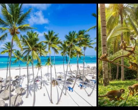 Monkeyland Punta Cana
