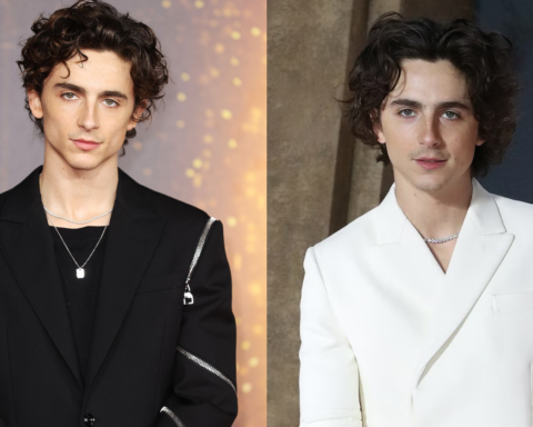 Timothée Chalamet next movie release