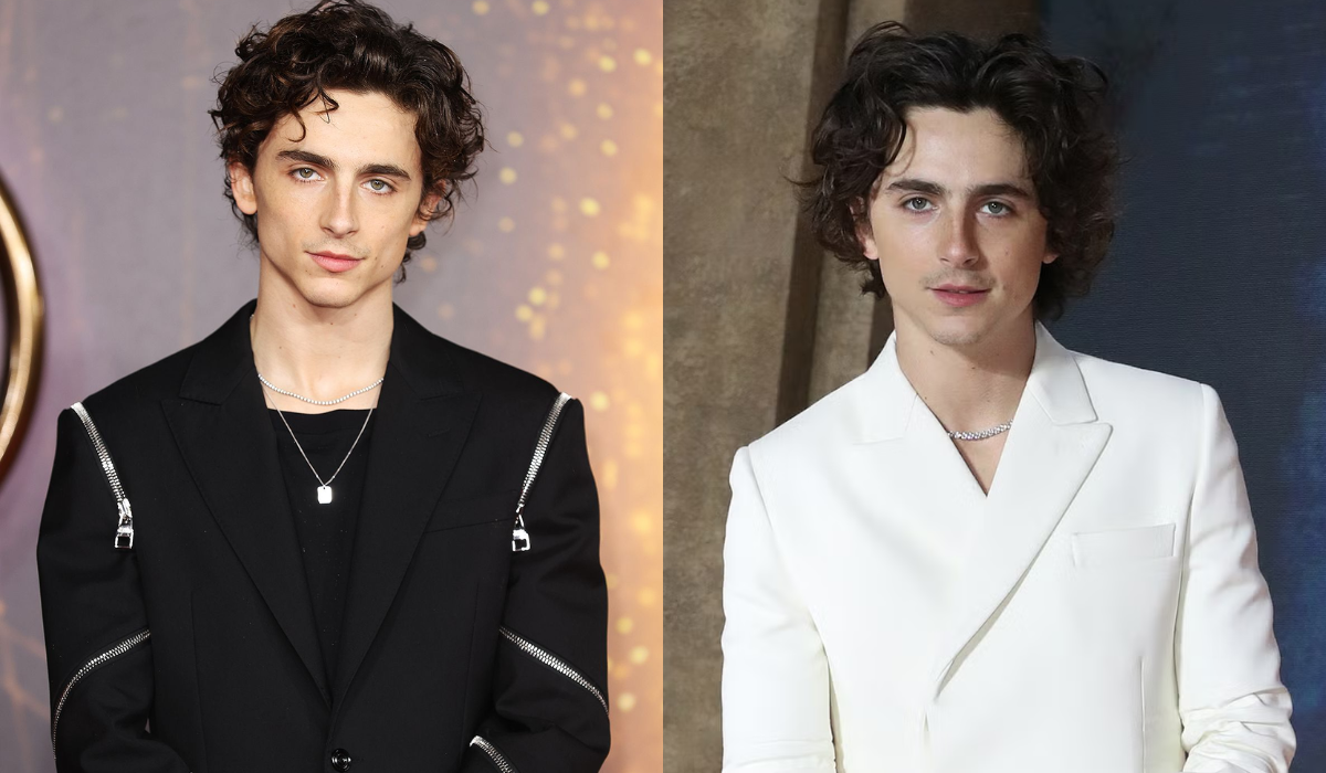 Timothée Chalamet next movie release