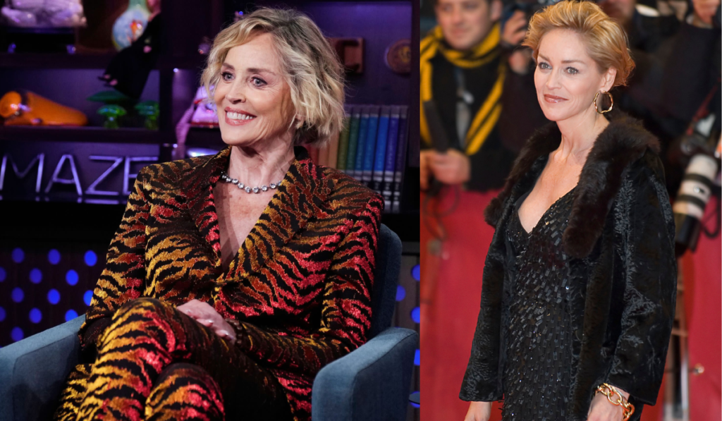 Sharon Stone biography facts