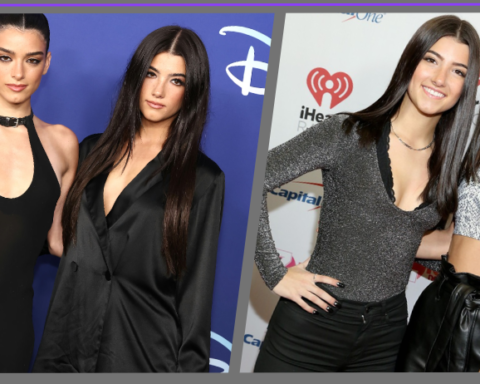 dixie d'amelio net worth