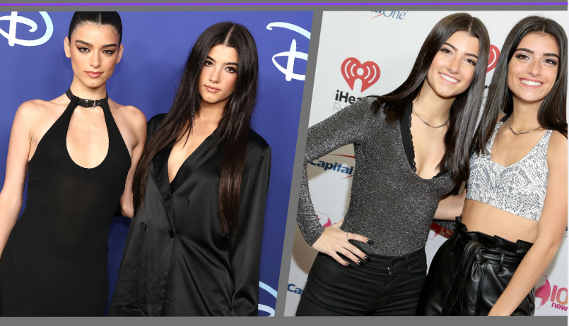 dixie d'amelio net worth